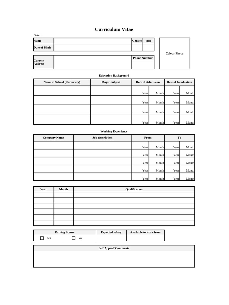 CV Format | PDF