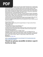 Download MembranPlasmabyAyuDwitasariSN84054792 doc pdf