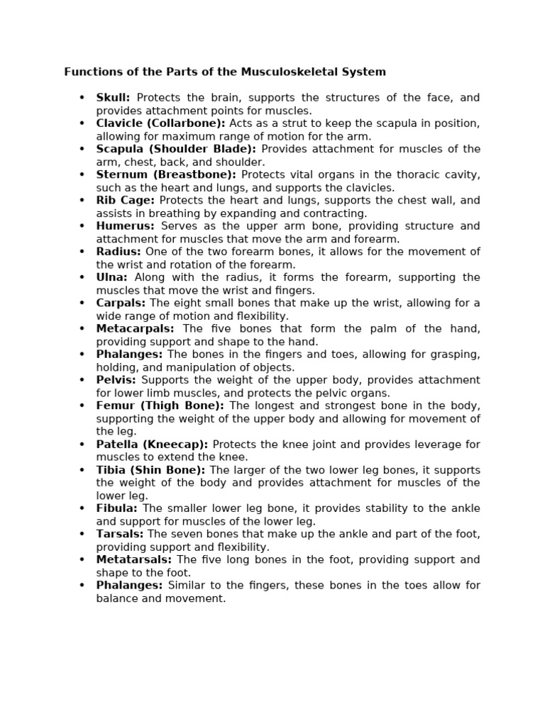 Human musculoskeletal system visual data 5