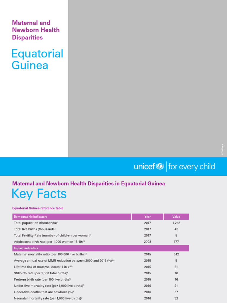 Maternal and Newborn Health in Equatorial Guinea | PDF | Maternal Death ...