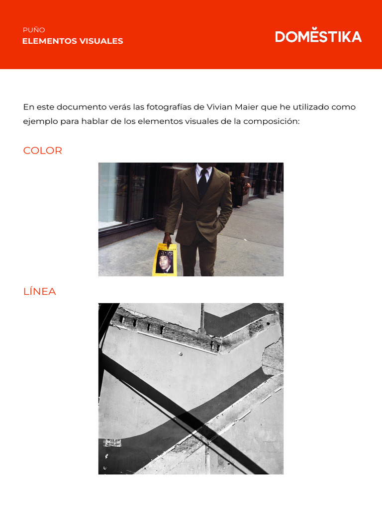 Elementos Visuales en Fotografía | PDF