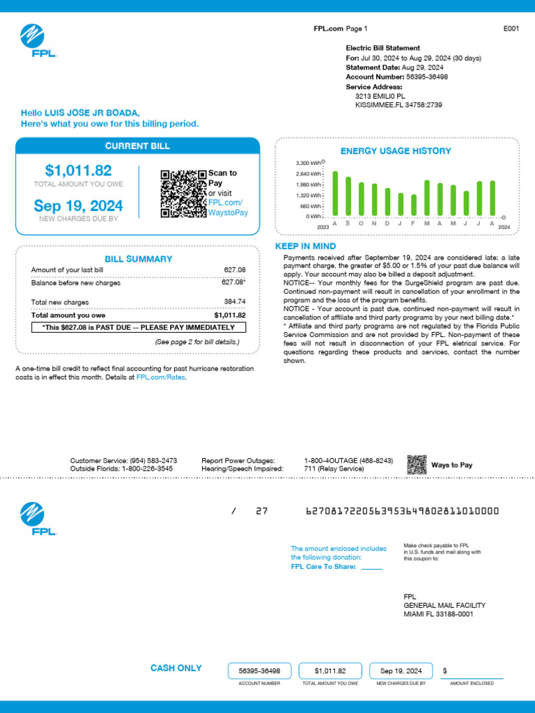 Current Internet Bill Summary | PDF | Payments