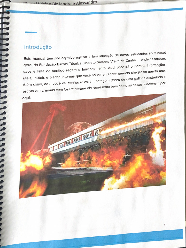 Manual do Bixo Liberato | PDF