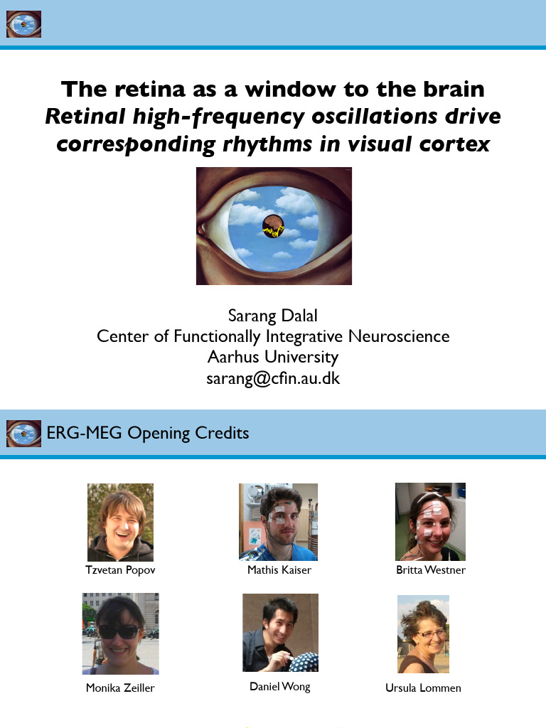 Sarang Dalal | PDF | Electroencephalography | Magnetoencephalography