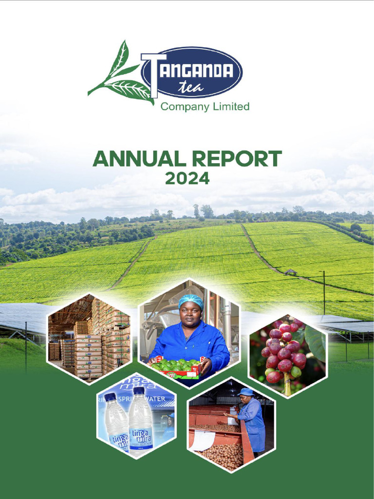 Tanganda Tea Company Annual Report 2024 | PDF | International Financial ...