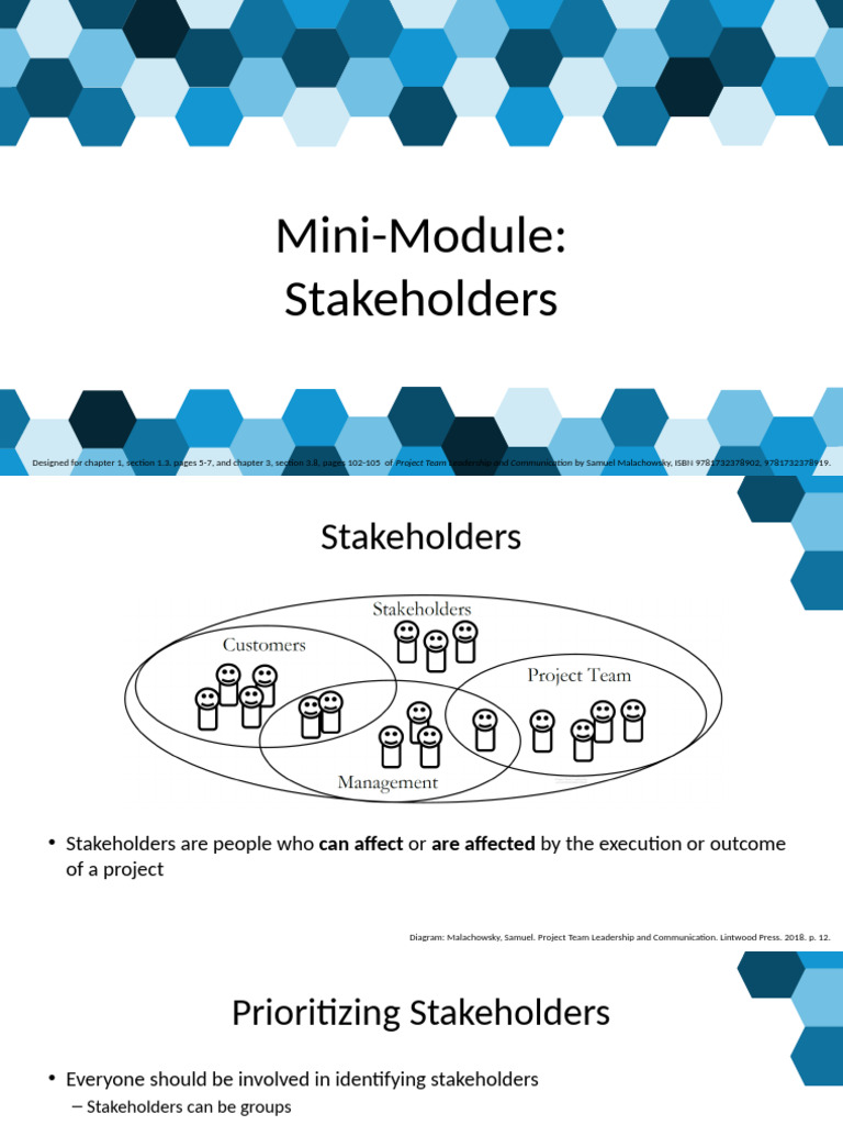 Stakeholder Analysis in Project Management | PDF