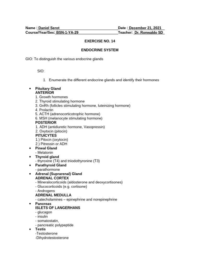 WEEK 15 LAB EXERCISE - Endocrine System | PDF | Adrenal Gland ...