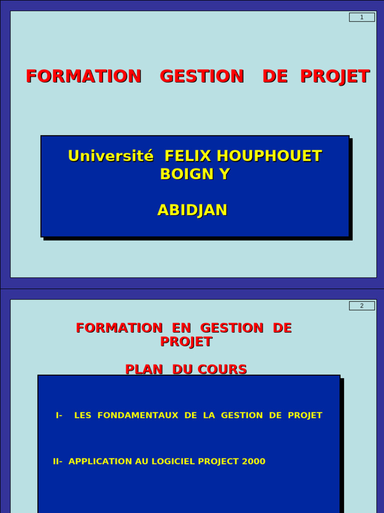 Formation en gestion de projet | PDF | Gestion de projet | Planification