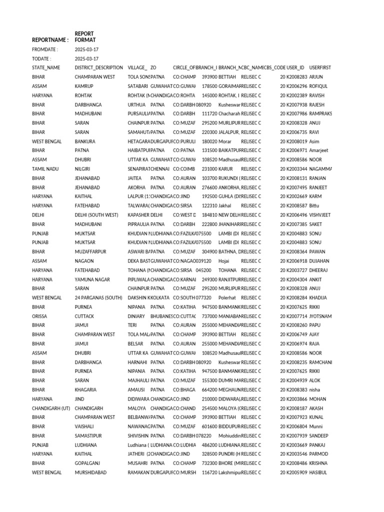 Local Guide Program Overview | PDF