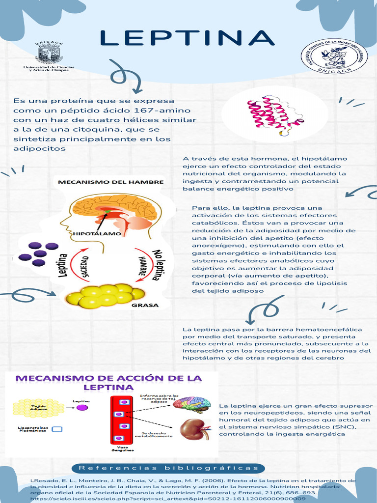 Leptina | PDF | Leptina | Tejido adiposo