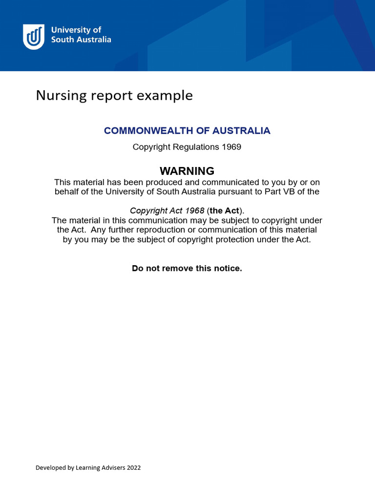 Reports_Nursing_example_2022 | PDF