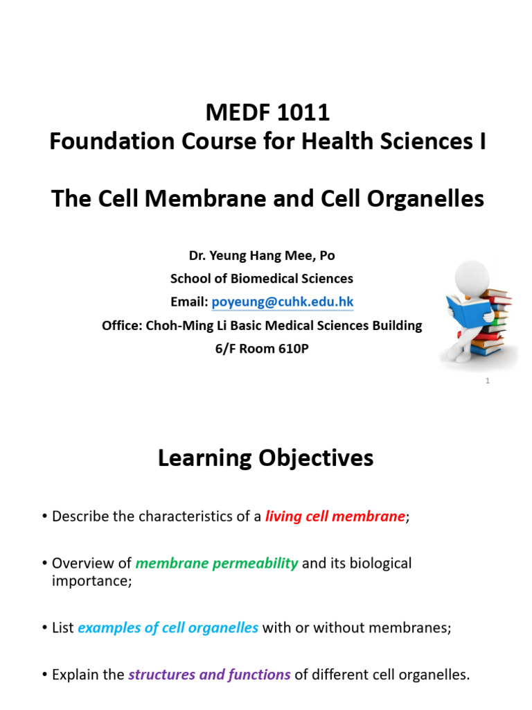 Cell Membrane and Organelles Overview | PDF | Endoplasmic Reticulum ...