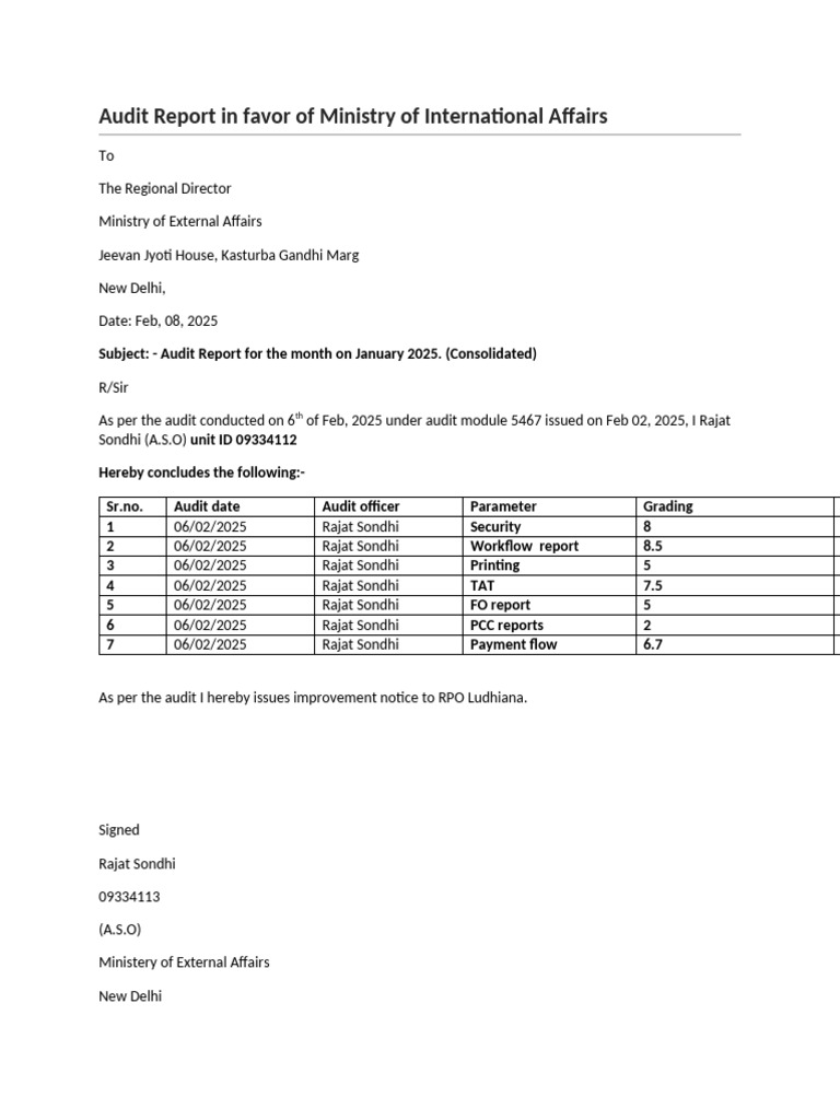 January 2025 Audit Report Summary | PDF