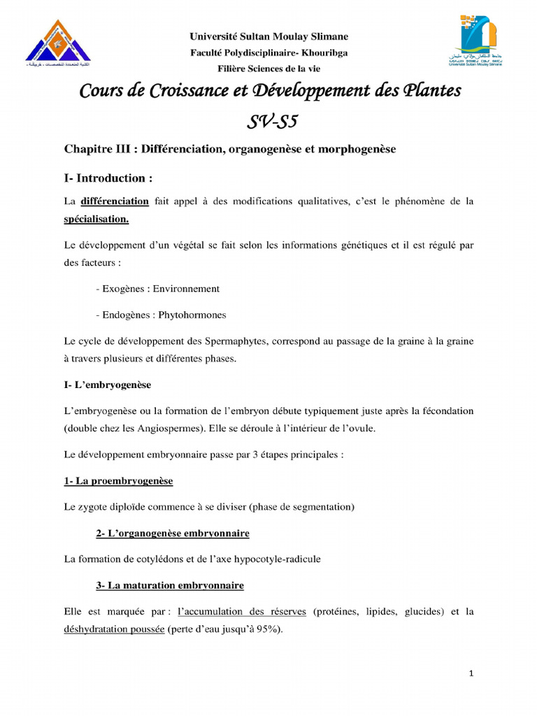 Chapitre 3 CDP | PDF