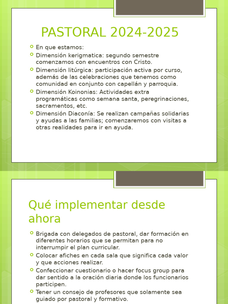 Plan Pastoral 2024-2025: Propuestas y Acciones | PDF