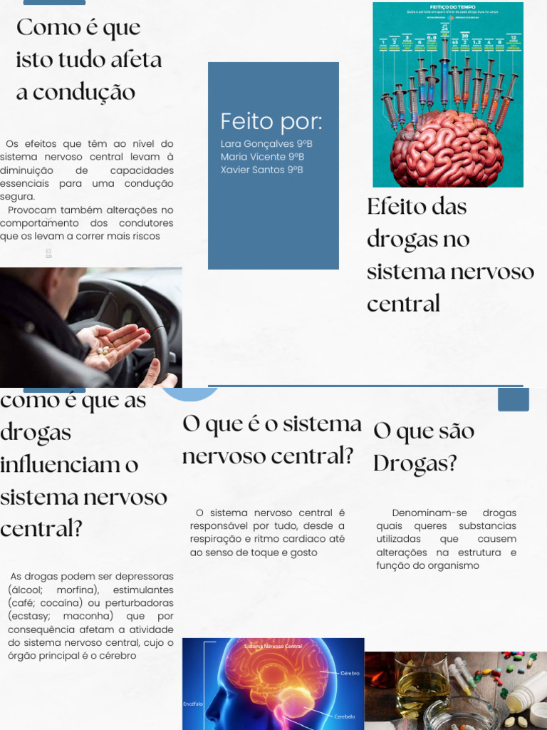 Efeitos das Drogas no Sistema Nervoso Central | PDF