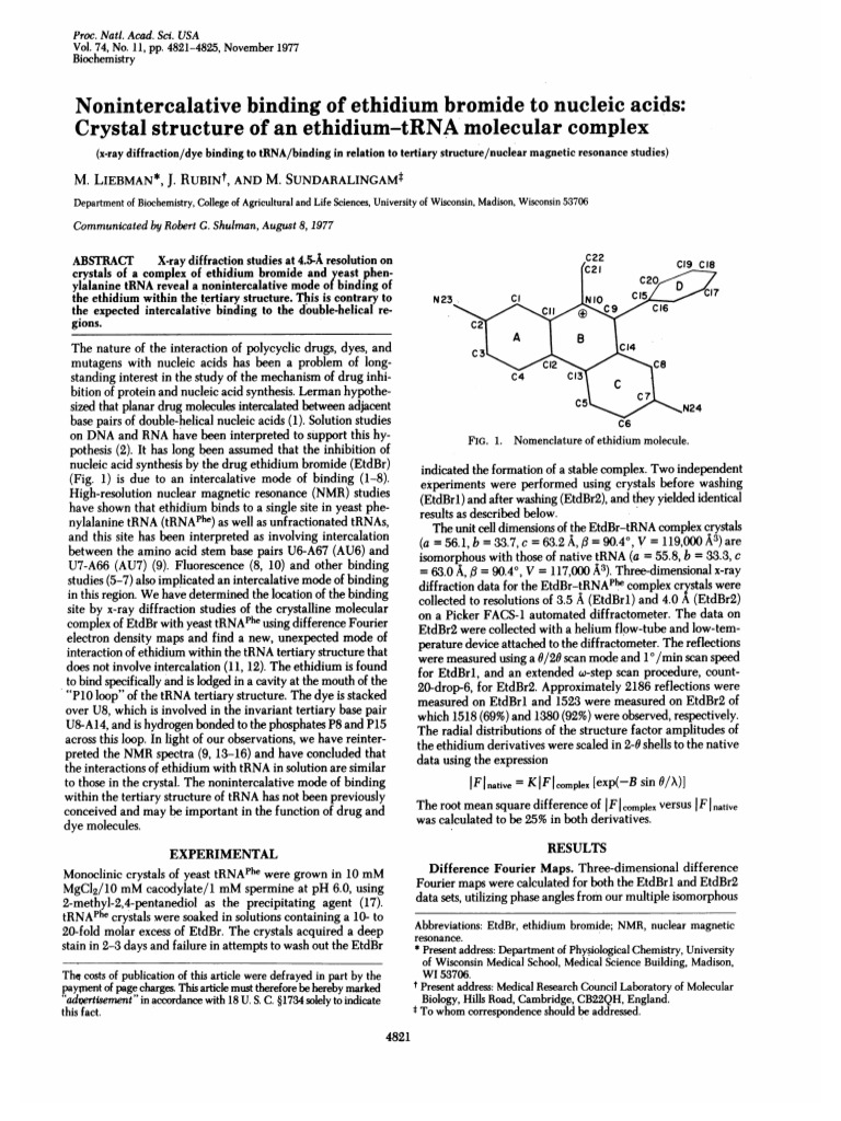 Ethidium Bromide-1977-Liebman-4821-5 | PDF | Nucleic Acids | Base Pair