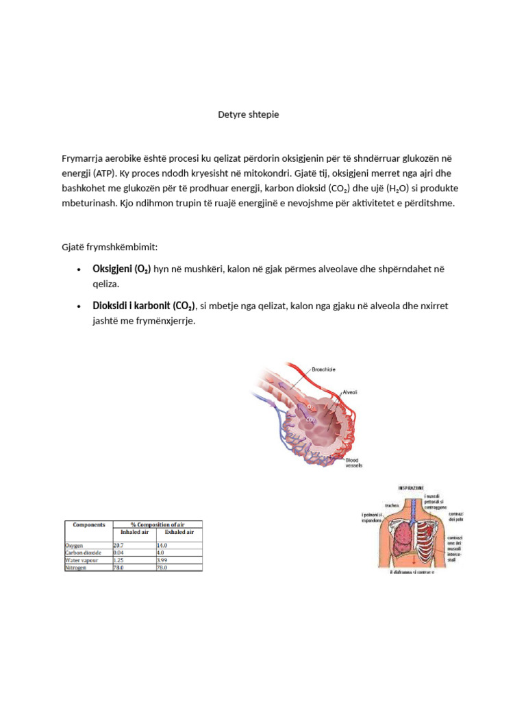 DSH Bio | PDF