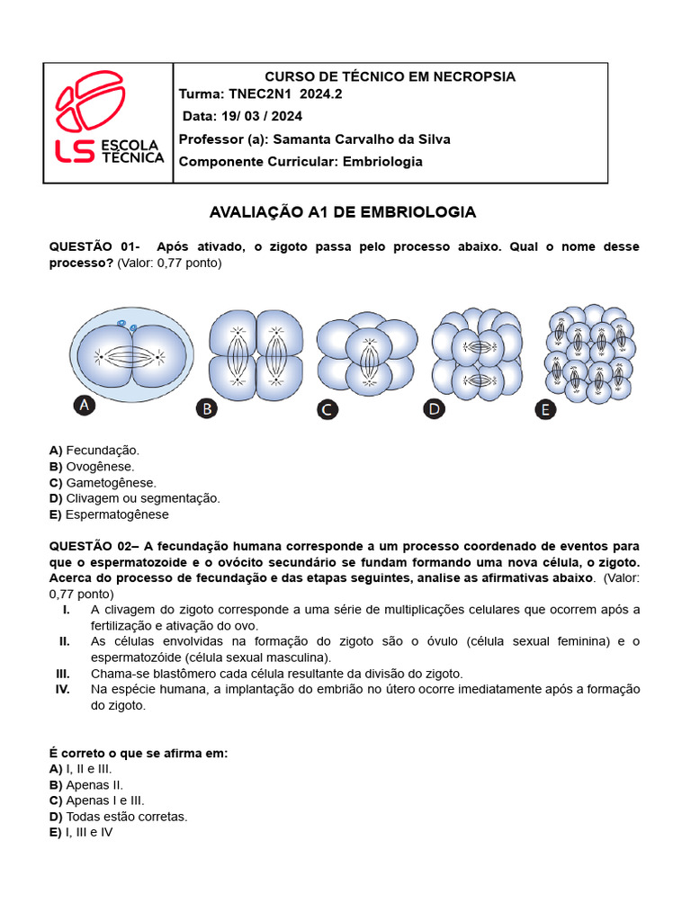 Modelo 2 PROVA DE EMBRIOLOGIA.docx (1) | PDF | Fertilização | Sistema ...