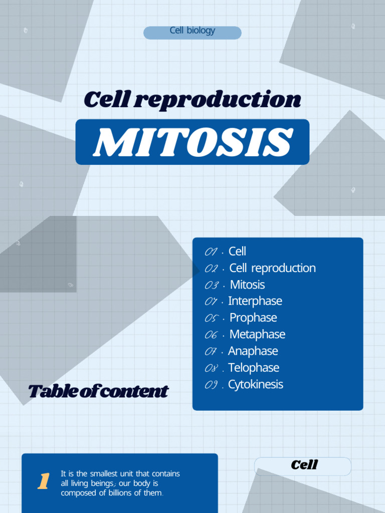 Understanding Mitosis and Cell Reproduction | PDF | Mitosis | Chromosome