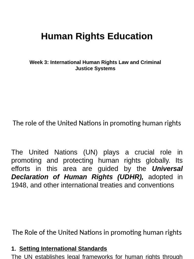 UN's Role in Global Human Rights Law | PDF | Human Rights ...