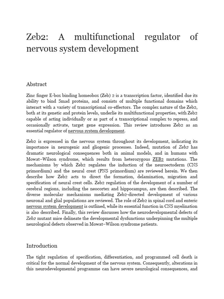Zeb2 - A Multifunctional Regulator of Nervous System Development | PDF ...