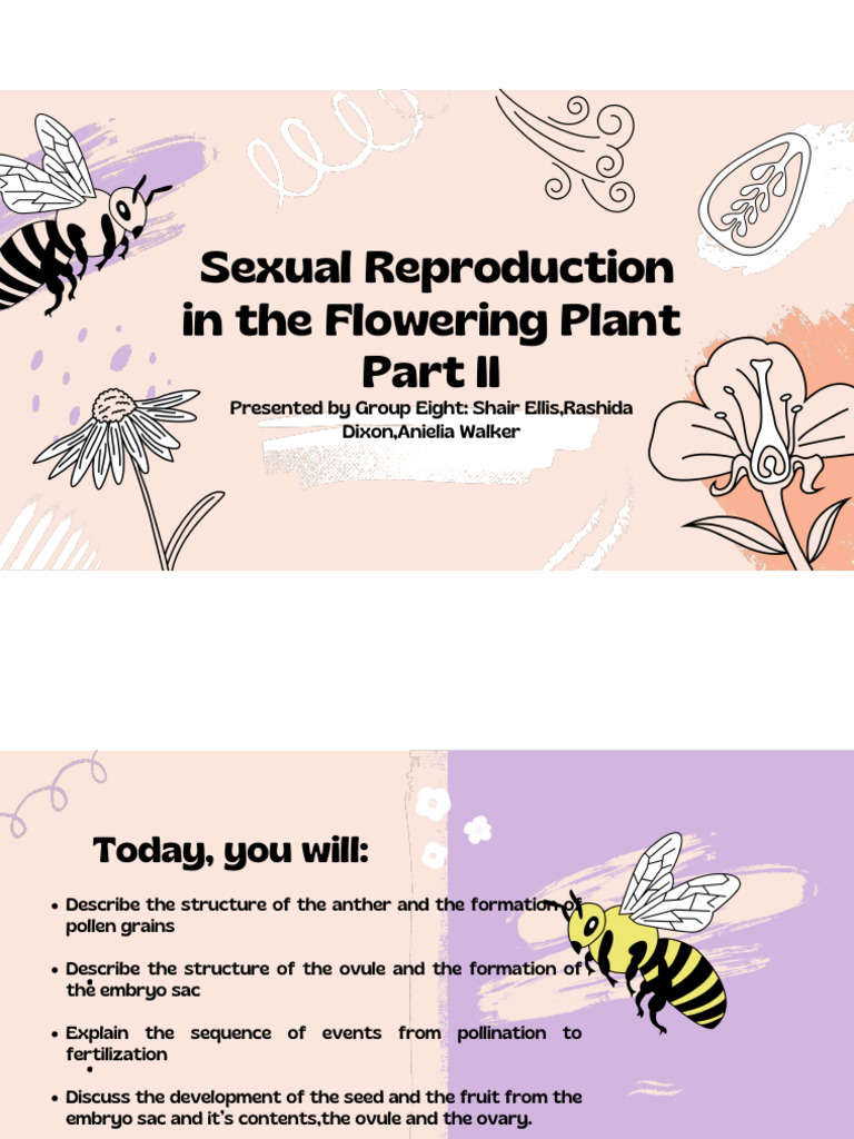 Sexual Reproduction in Flowering Plants | PDF | Flowers | Seed