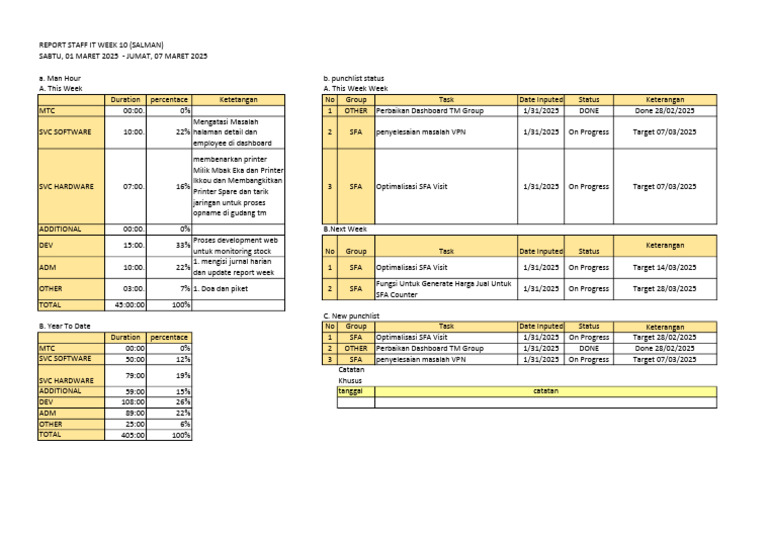 IT Staff Report Week 10 Summary | PDF
