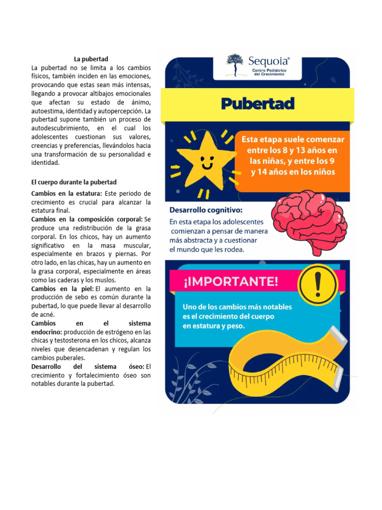 Cambios emocionales y físicos en la pubertad | PDF | Pubertad ...