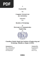 PDF Document