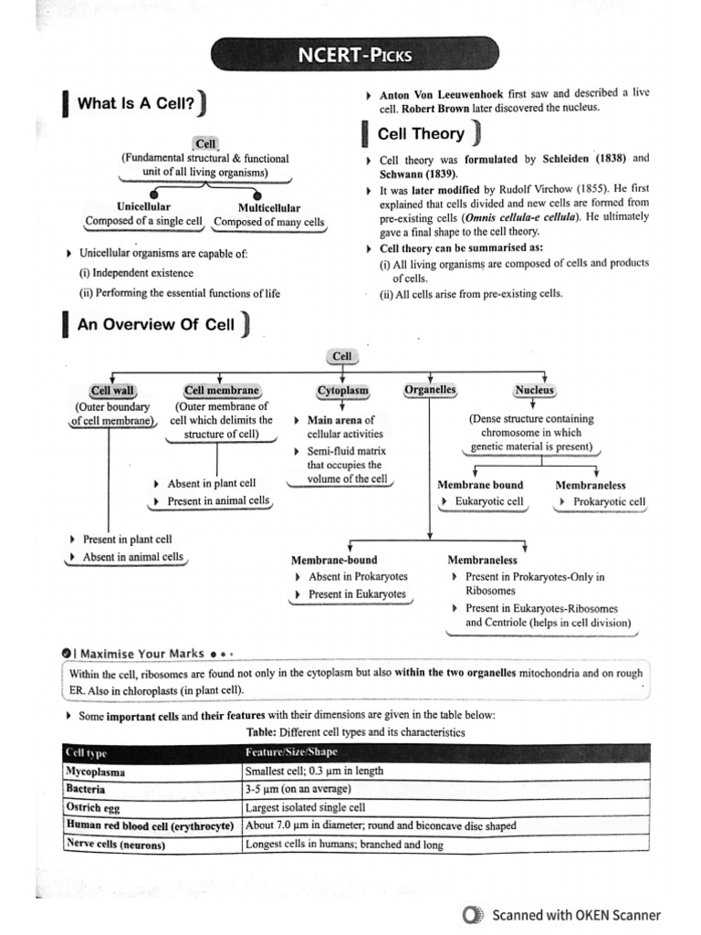 Cell | PDF