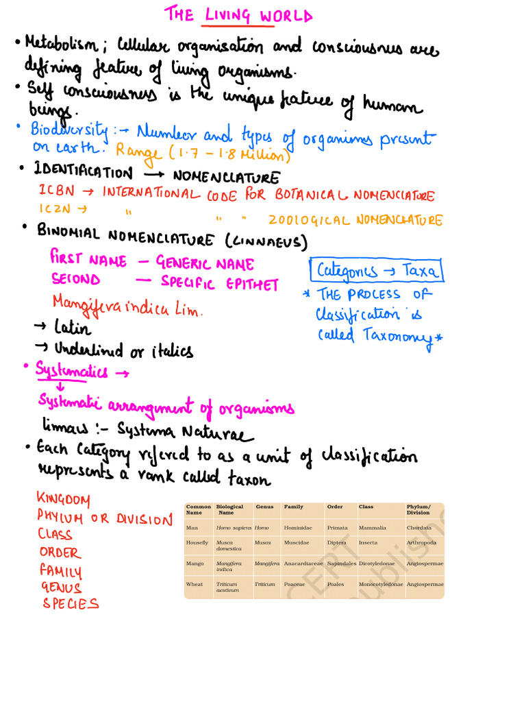 Binomial Nomenclature of Humans | PDF