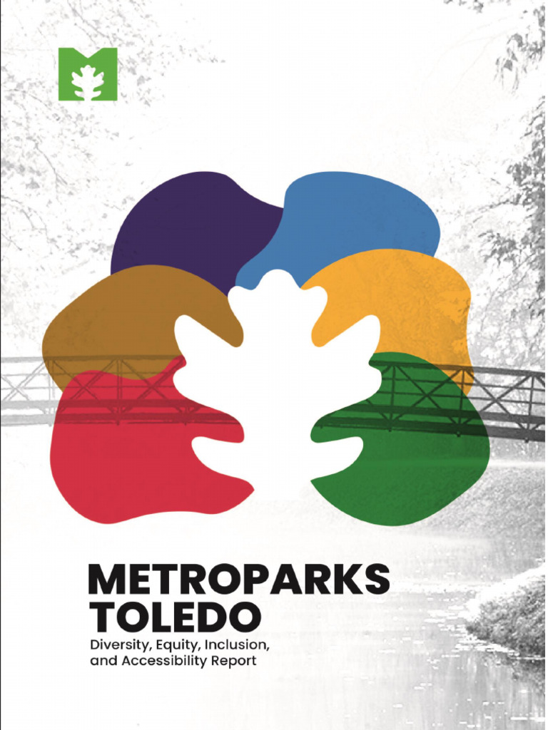 Metroparks Toledo DEIA Survey Findings | PDF | Race And Ethnicity In ...