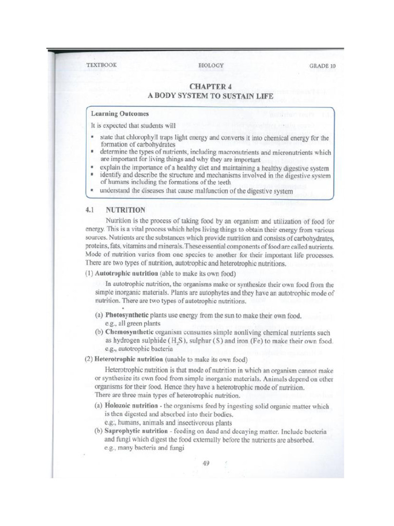Chapter 4 | PDF