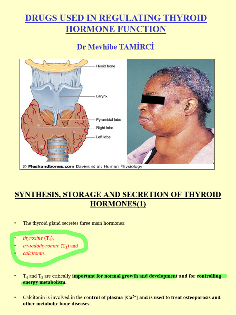 Thyroid Hormone Regulation and Disorders | PDF | Thyroid | Thyroid ...