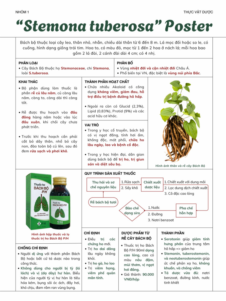 Ứng dụng của rễ cây Rễ Bách Bộ trong dược phẩm | PDF