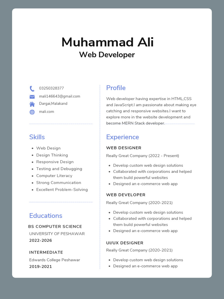 Blue & Pink Minimal Clean Web Developer CV Resume | PDF