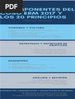 5 Componentes Del COSO ERM 2017 y Los 20 Principios | PDF