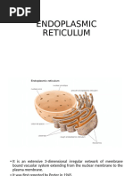 SER vs RER: Functions and Differences | PDF | Endoplasmic Reticulum ...
