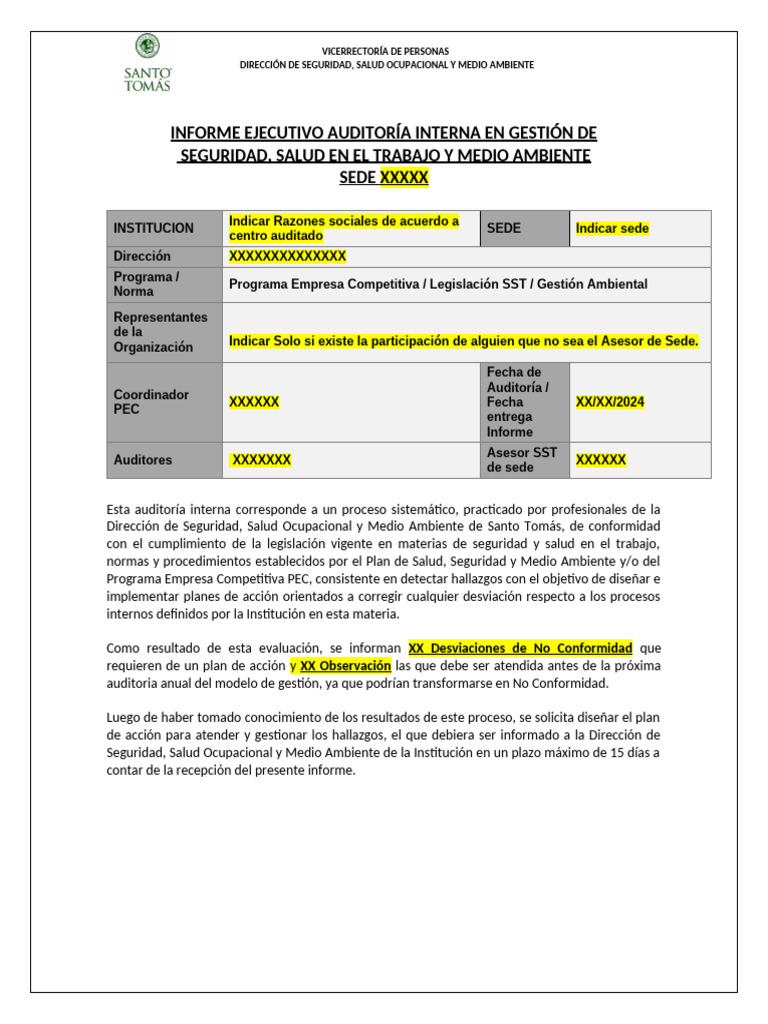 Informe Ejecutivo Auditoria Interna Sede XXXXX | PDF | Auditoría ...