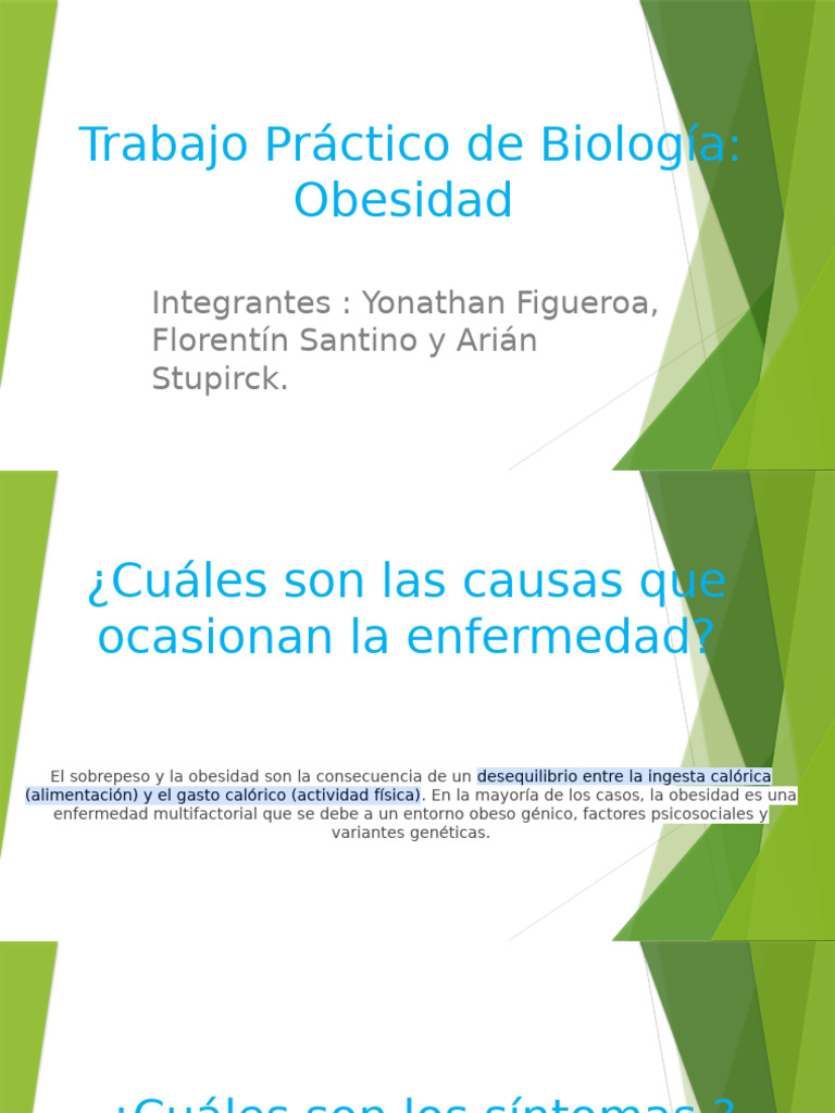 Causas y Tratamientos de la Obesidad | PDF