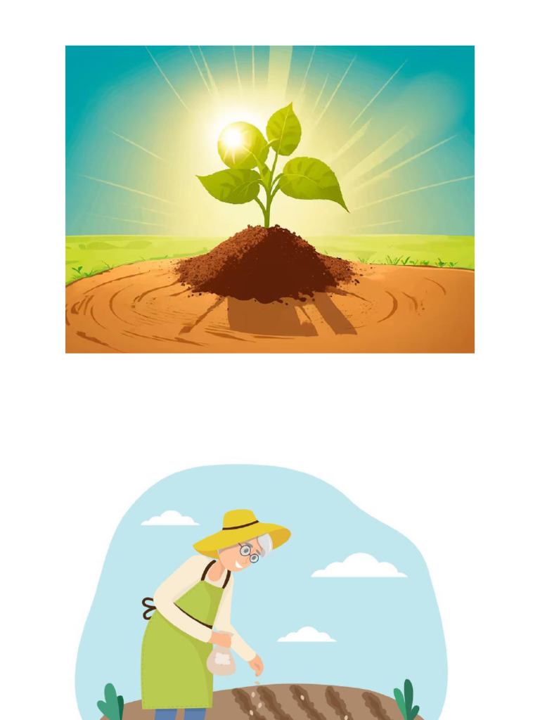 Planting Process | PDF