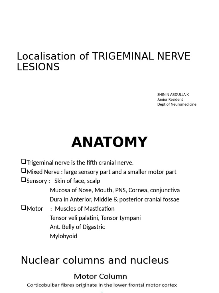 Trigeminal Nerve Lesion Localization Guide | PDF | Neuroanatomy | Human ...