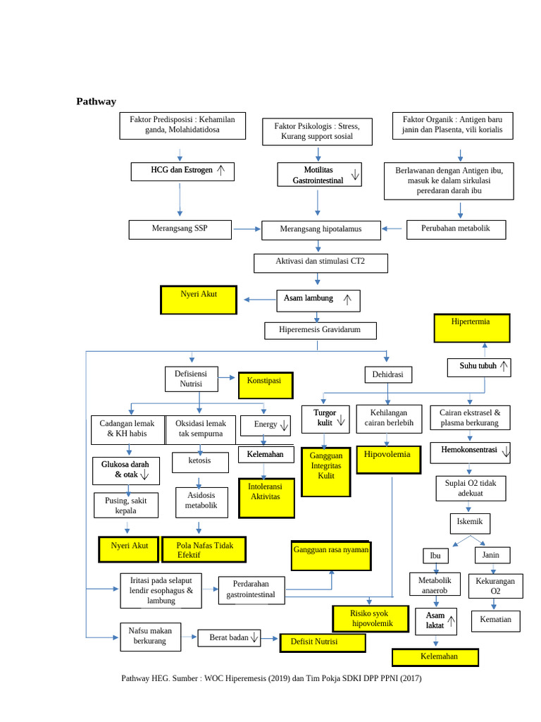 Hiperemesis Gravidarum: Dampak dan Gejala | PDF