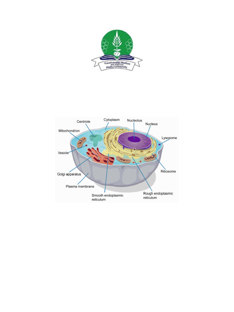 Biology Module Remedial Courses Edited 2024-4-29 | PDF | Carbohydrates ...