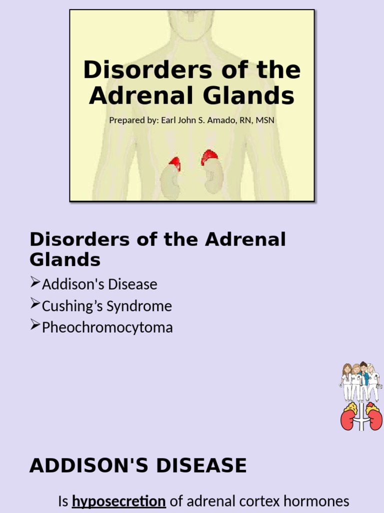 Stunning Adrenal Gland Support Dog Treats Recipe image