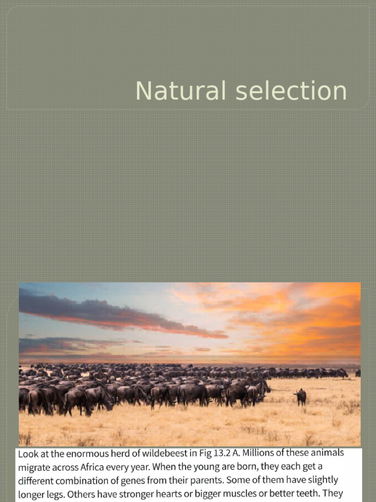 Unit3PPT6- Natural selection (1) | PDF | Natural Selection | Evolution