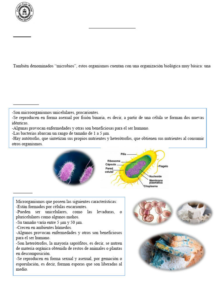 Tipos de Microorganismos y Virus | PDF | Microorganismo | Biología Celular)