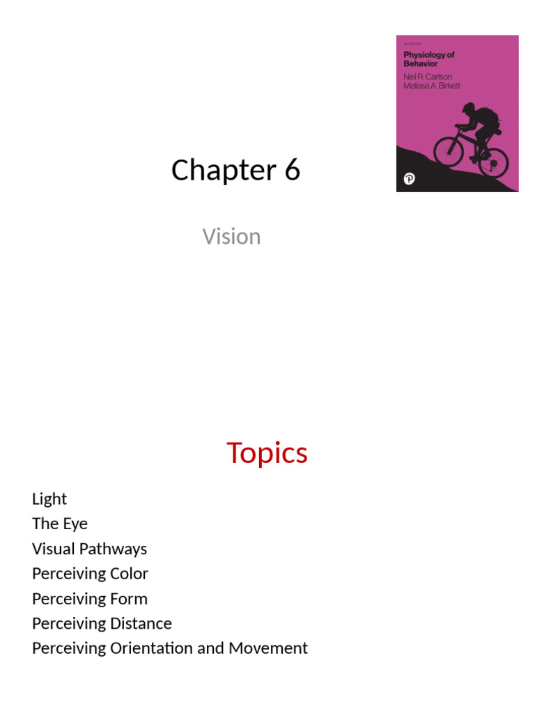 Understanding Vision: Light and Perception | PDF | Visual Cortex ...