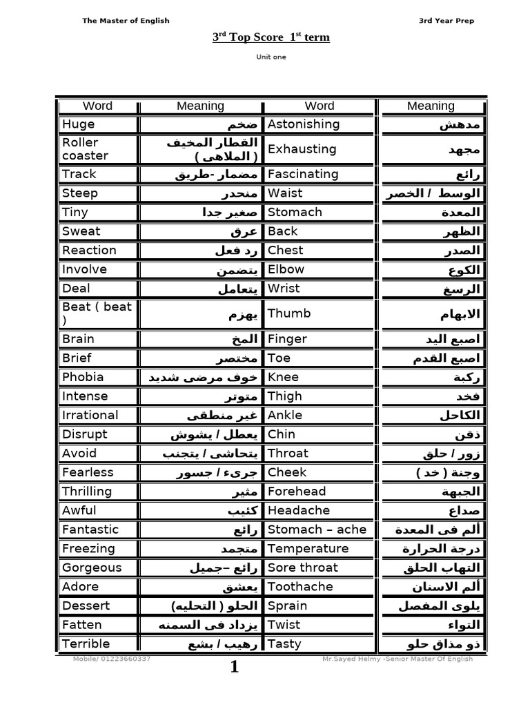 Top Score 3 Complete Net | PDF | Extraversion And Introversion